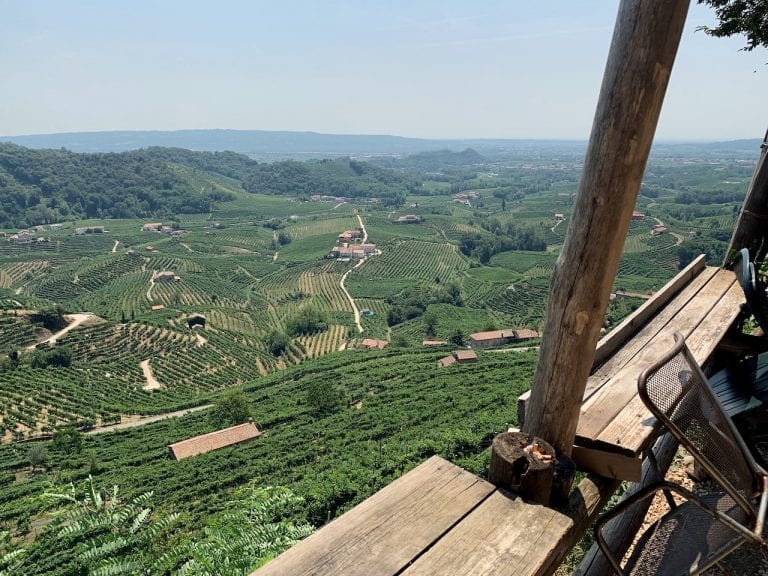 the beautiful vineyards view from valdobbiadene