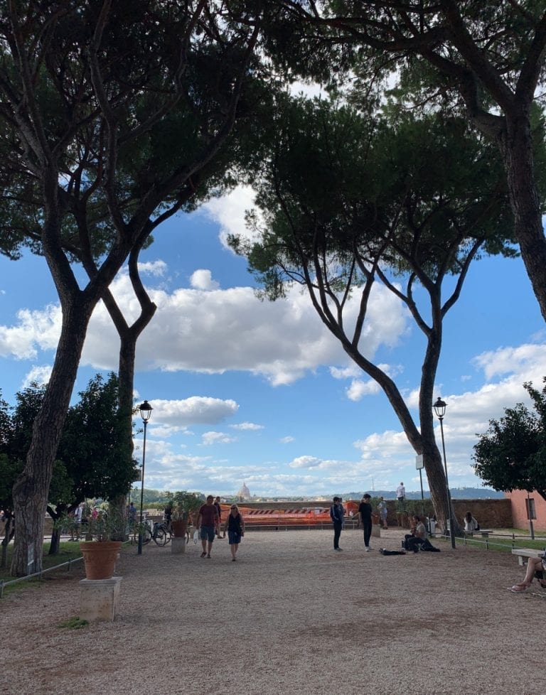 orange garden and rome city view