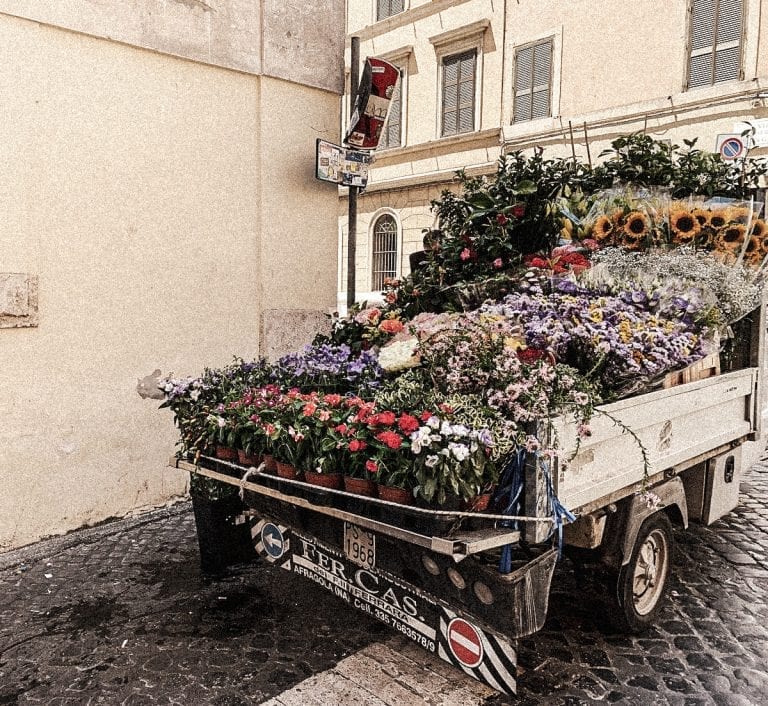 fresh flower seller shows up with mini van in spring and summer in cavour oftenly