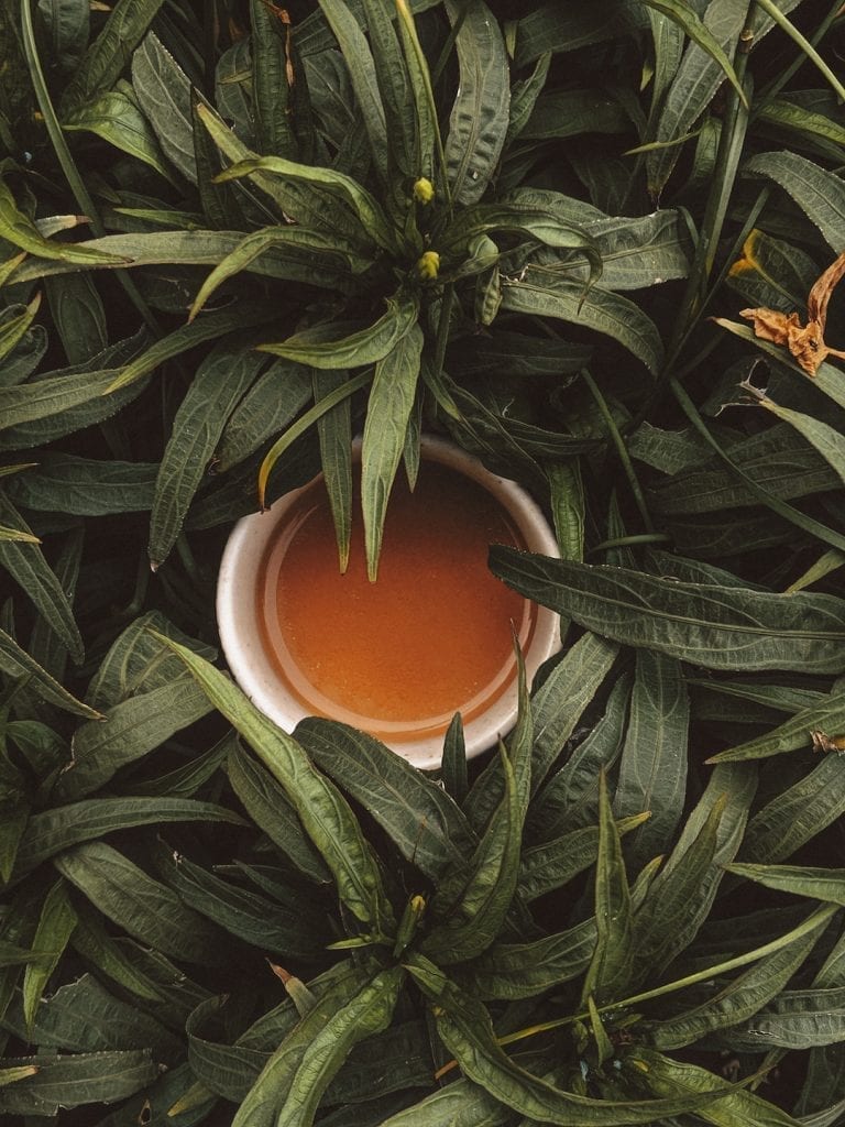 talking about the culture shock of drinking tea in china and in italy