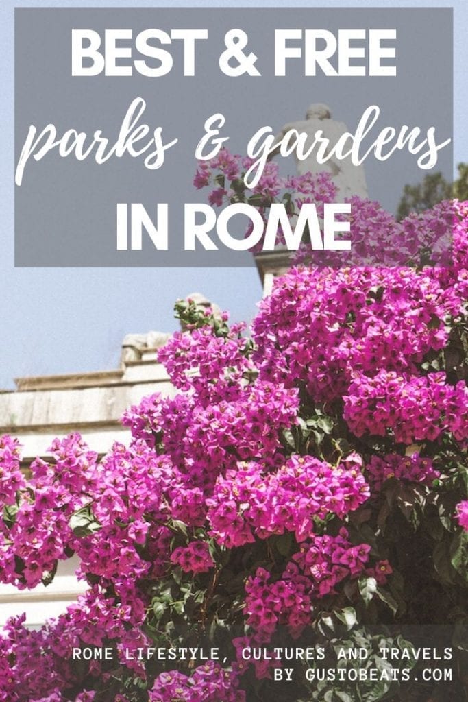 the pink bloom in villa borghese