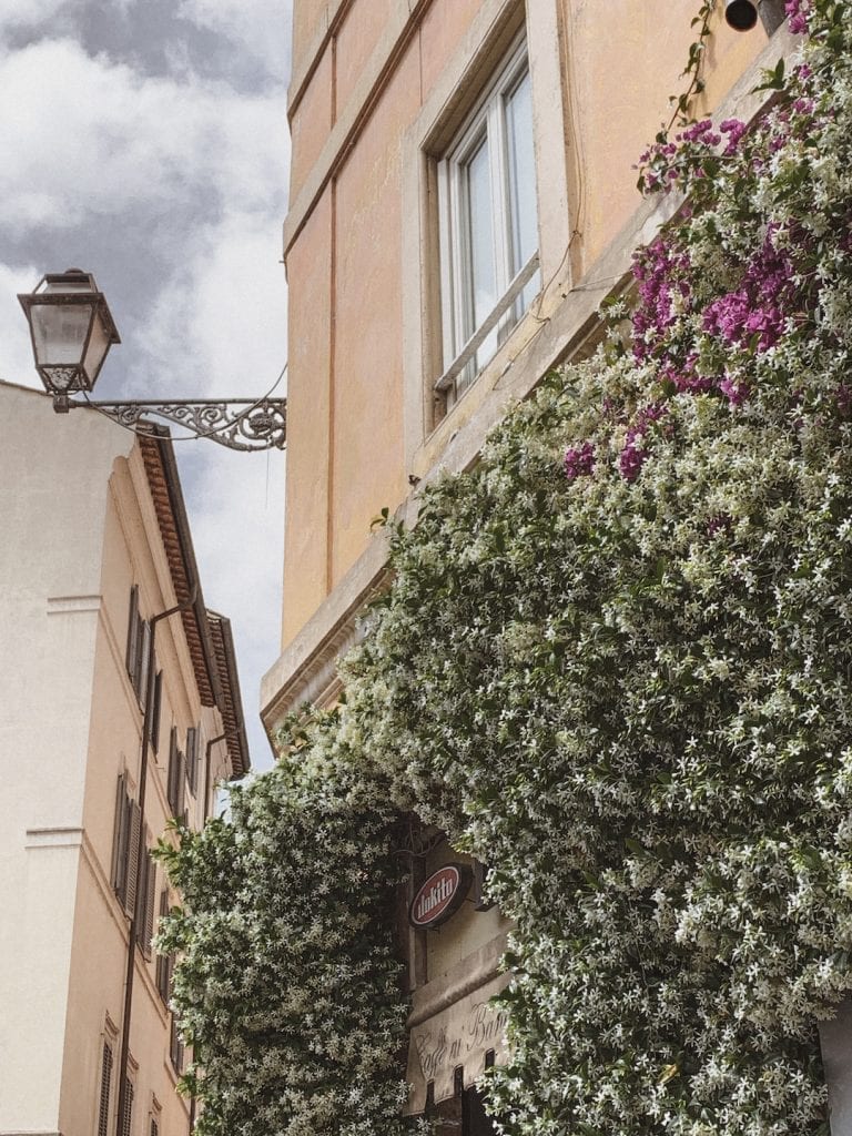 gustobeats how rome and italy feel from my visual diary june 2020 with the flowers in Rome city center