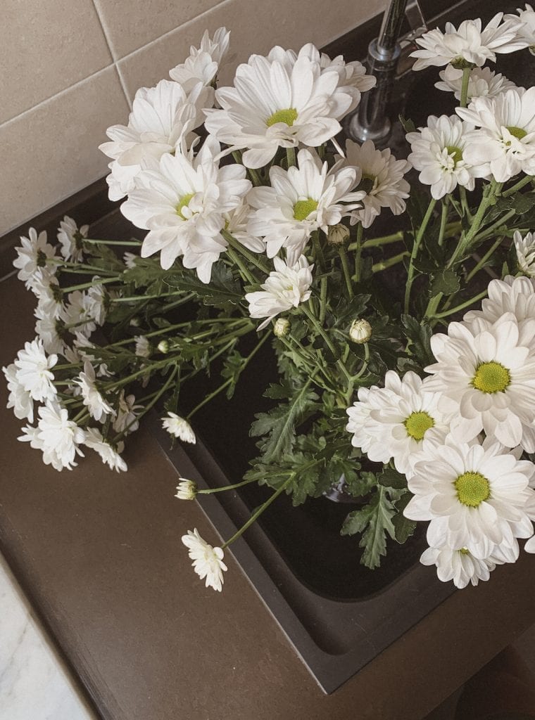 gustobeats how rome and italy feel from my visual diary june 2020 with some fresh Margherita flowers from Campo dei Fiori