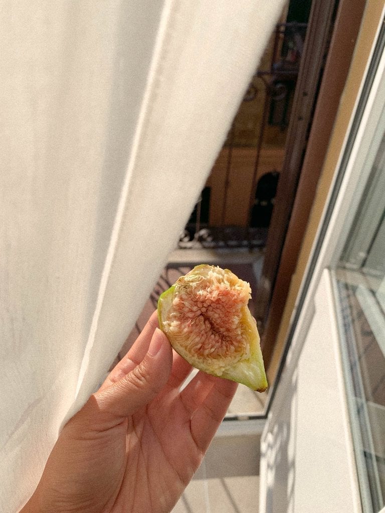It's too early to enjoy a fig in July