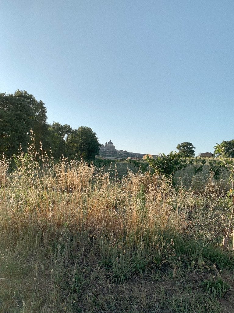 this stunning sunset with the 3rd biggest dome in Italy is happening daily in Montefiascone