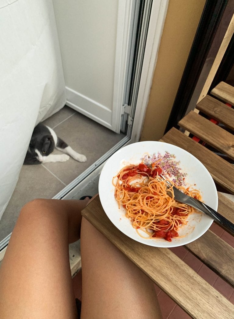 simple spaghetti with tomato sauce even my cat loves