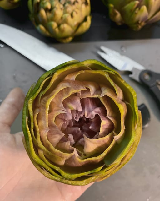 Selecting artichokes is quite important which is seldom mentioned by many Italian artichoke recipes. The good ones are easy to clean and less aggressive to eat.