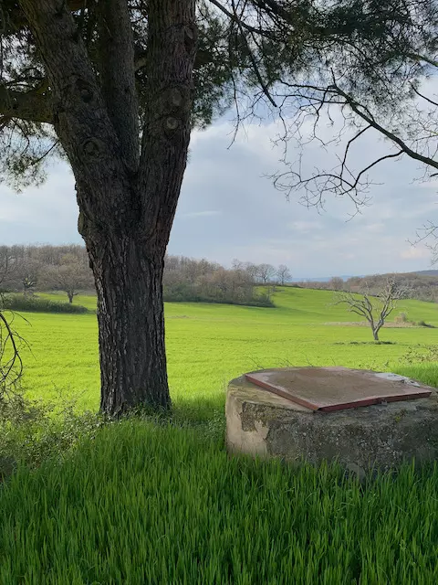 the view of an abandoned italian villa in a small town of Italy