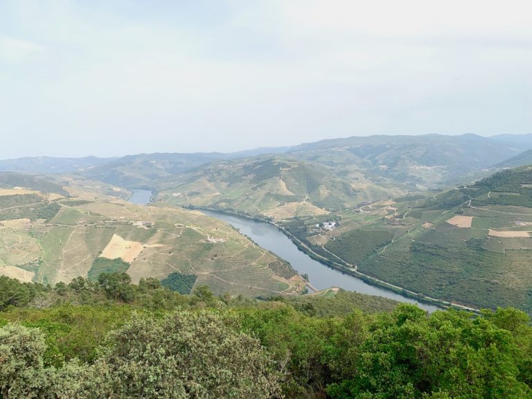 Portugal wine in Douro valley